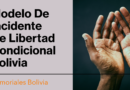 Modelo De Incidente De Libertad Condicional Bolivia